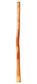 Ironbark Didgeridoo (IB288)